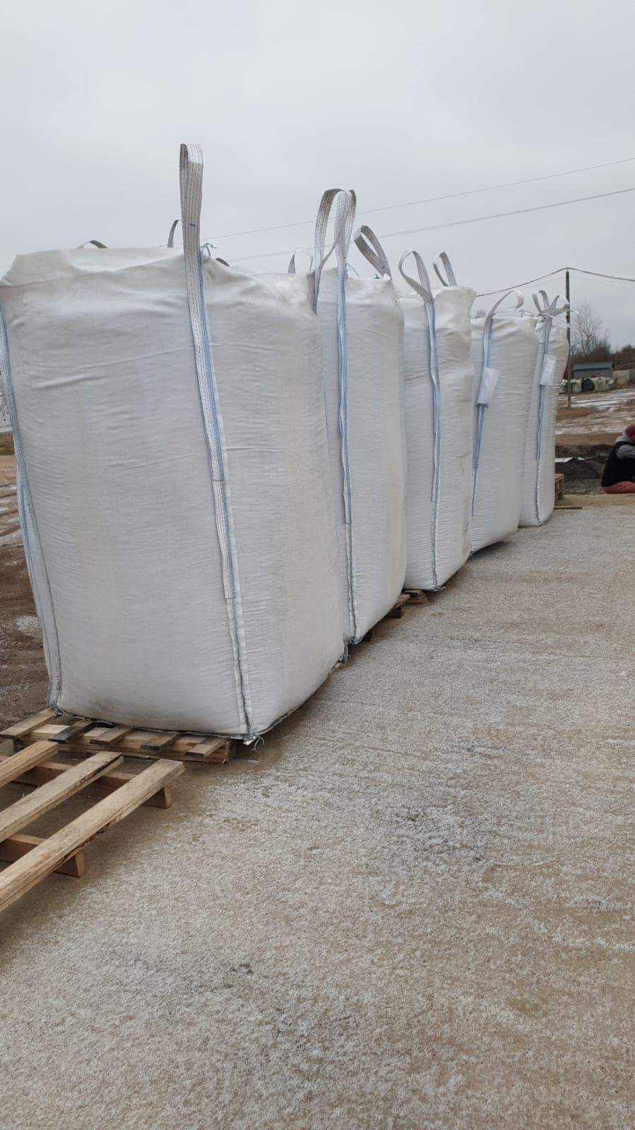 5. Zdjęcie przedstawiające załadunek ściółki BioFloor do samochodu ciężarowego.